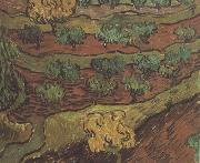 Vincent Van Gogh, Olive Trees against a Slope of a Hill (nn04)